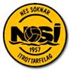 NSI Runavik